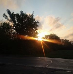 Meet your Posher, Steve